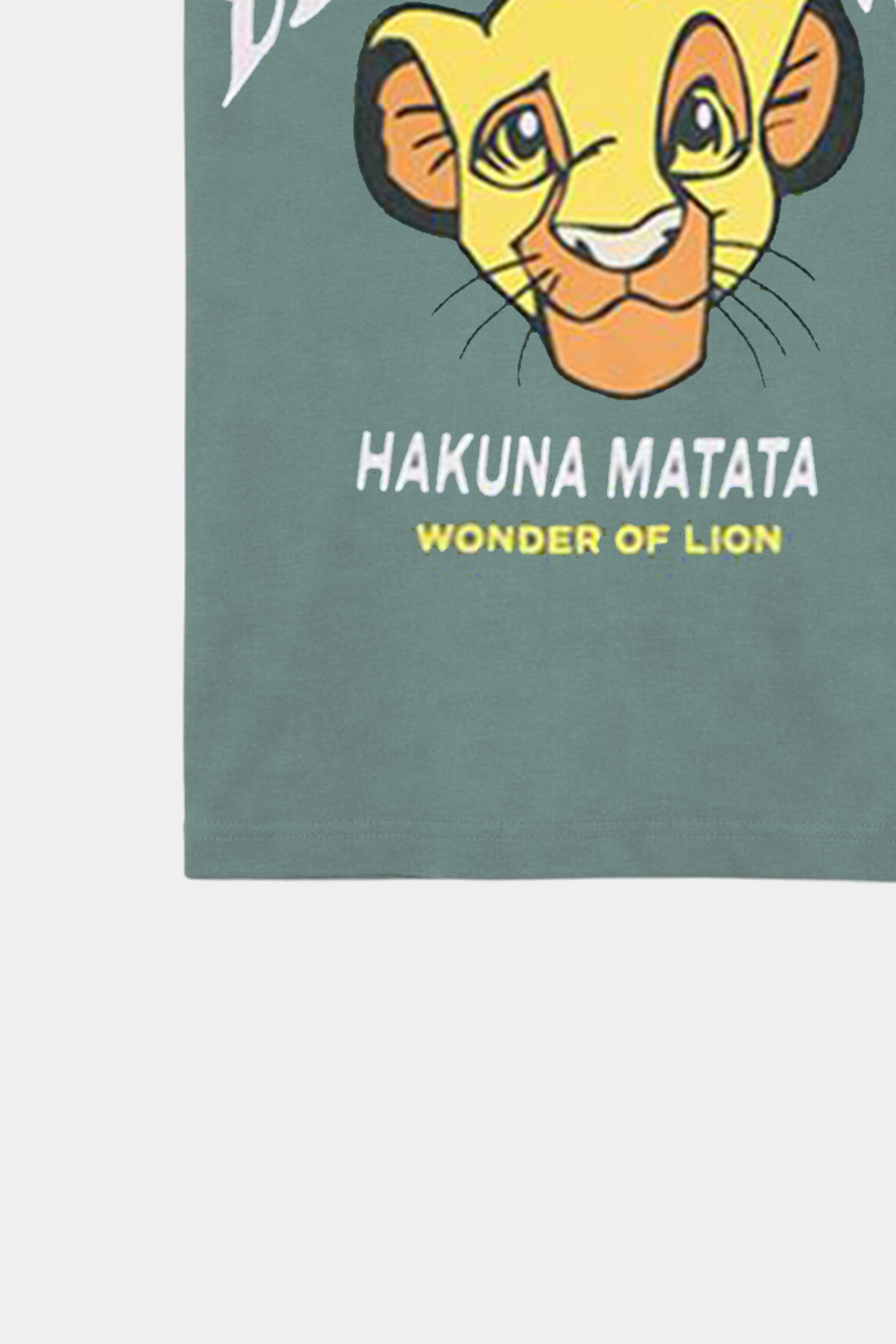 Boys Lion King Hakuna Matata Summer T-Shirt – Green - MYK_Fatimas