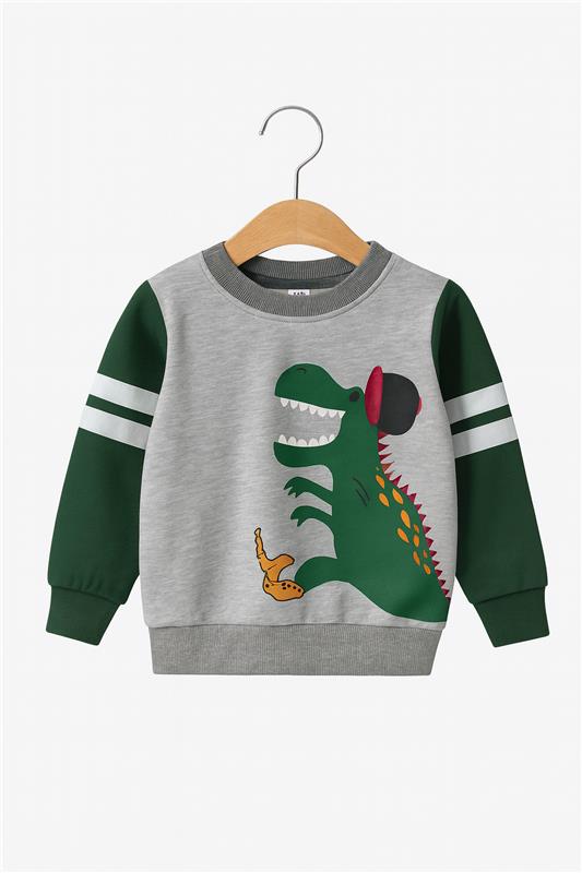 2pcs Set Kids Dinosaur Graphic Green & grey Sweatshirt With panel Trouser - MYK_Fatimas